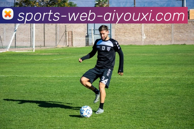 爱游戏平台生态图